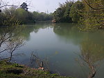 西溪湿地 湖泊 河流