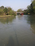 西溪湿地 湖泊 河流