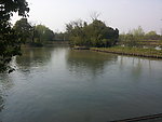 西溪湿地 湖泊 河流
