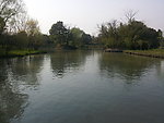 西溪湿地 湖泊 河流
