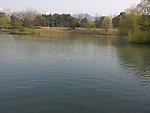 西溪湿地 湖泊 河流
