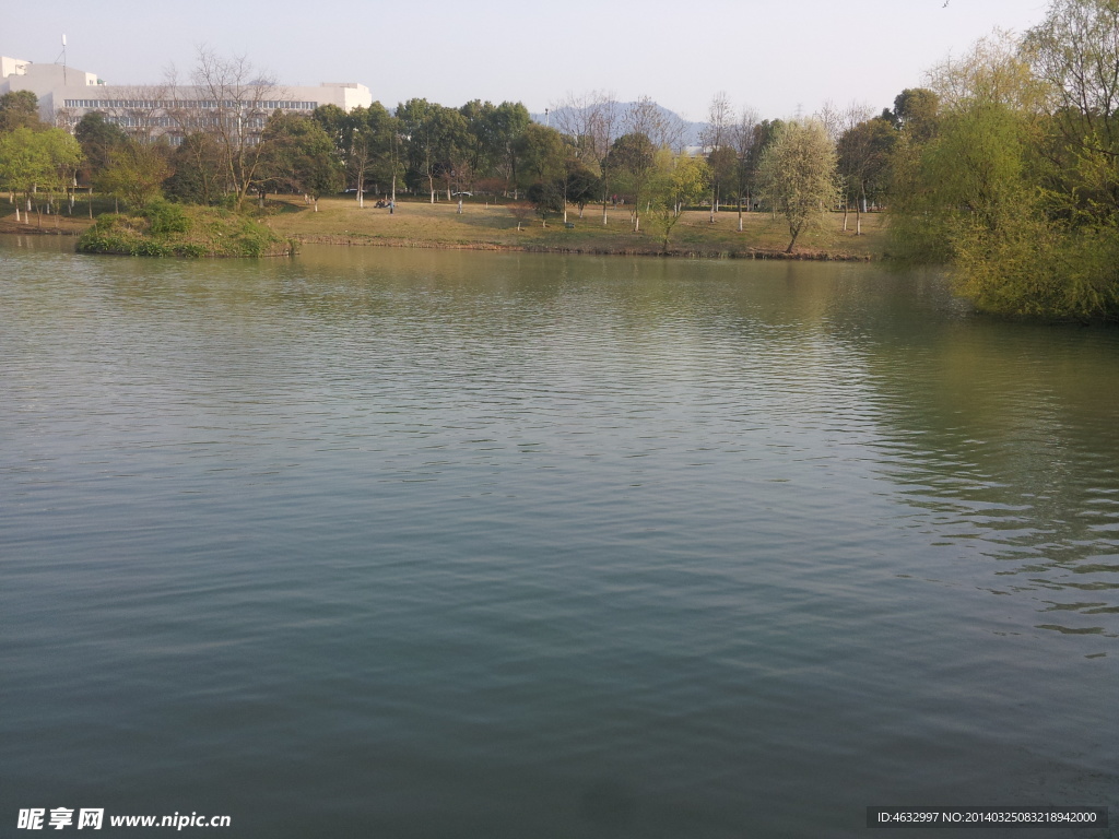 西溪湿地 湖泊 河流