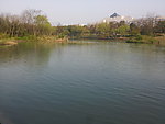 西溪湿地 湖泊 河流
