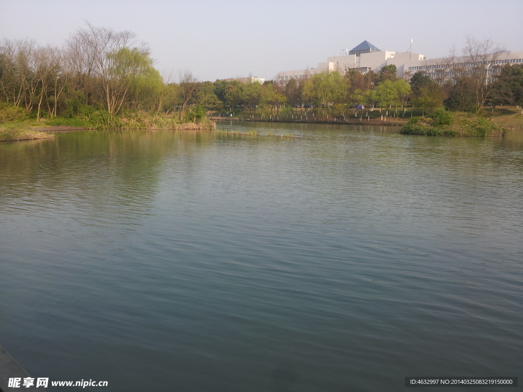 西溪湿地 湖泊 河流