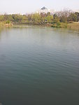西溪湿地 湖泊 河流