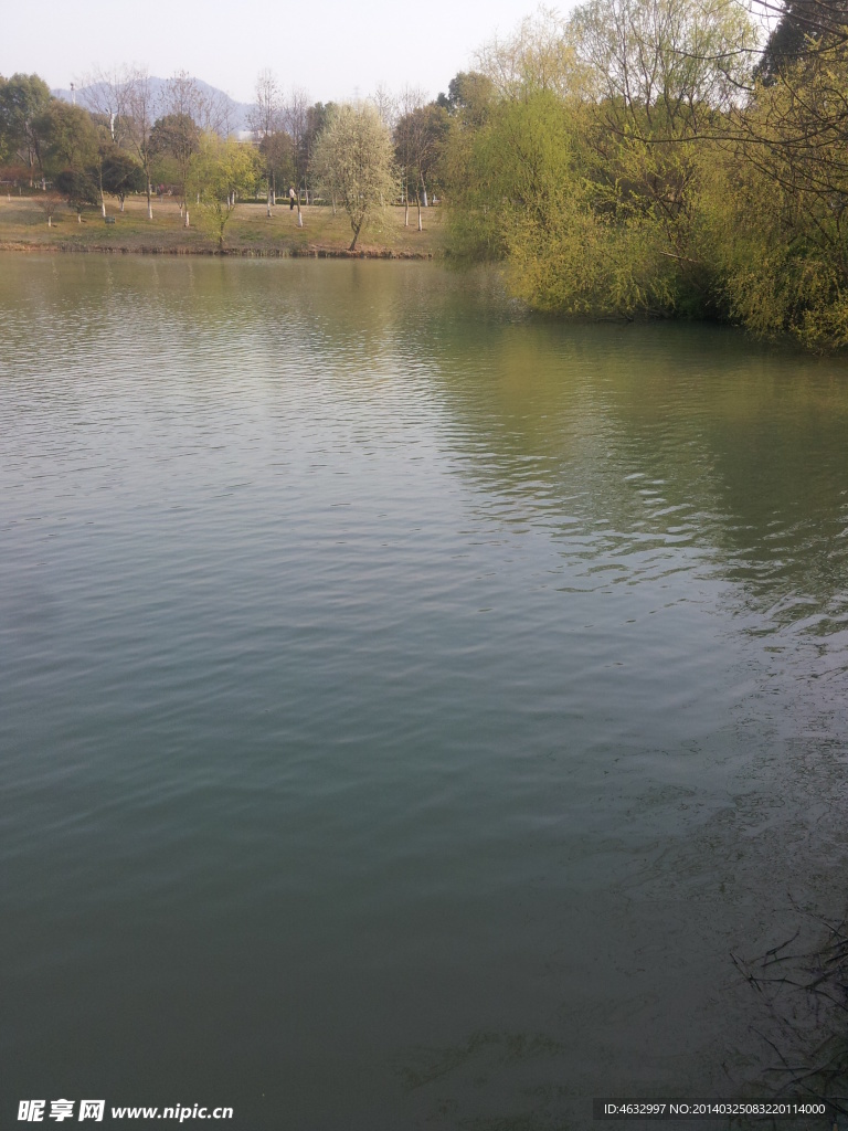 西溪湿地 湖泊 河流