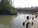 西溪湿地 湖泊 河流