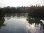 西溪湿地 湖泊 河流
