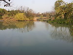 西溪湿地 湖泊 河流