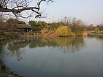 西溪湿地 湖泊 河流