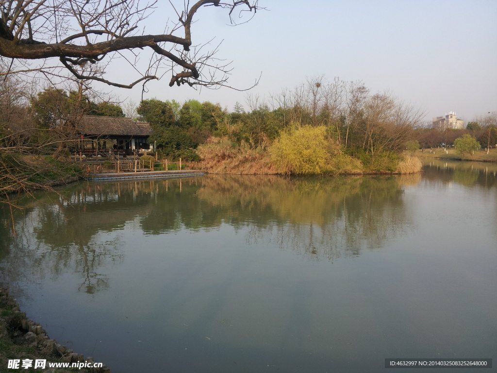 西溪湿地 湖泊 河流