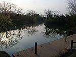 西溪湿地 湖泊 河流