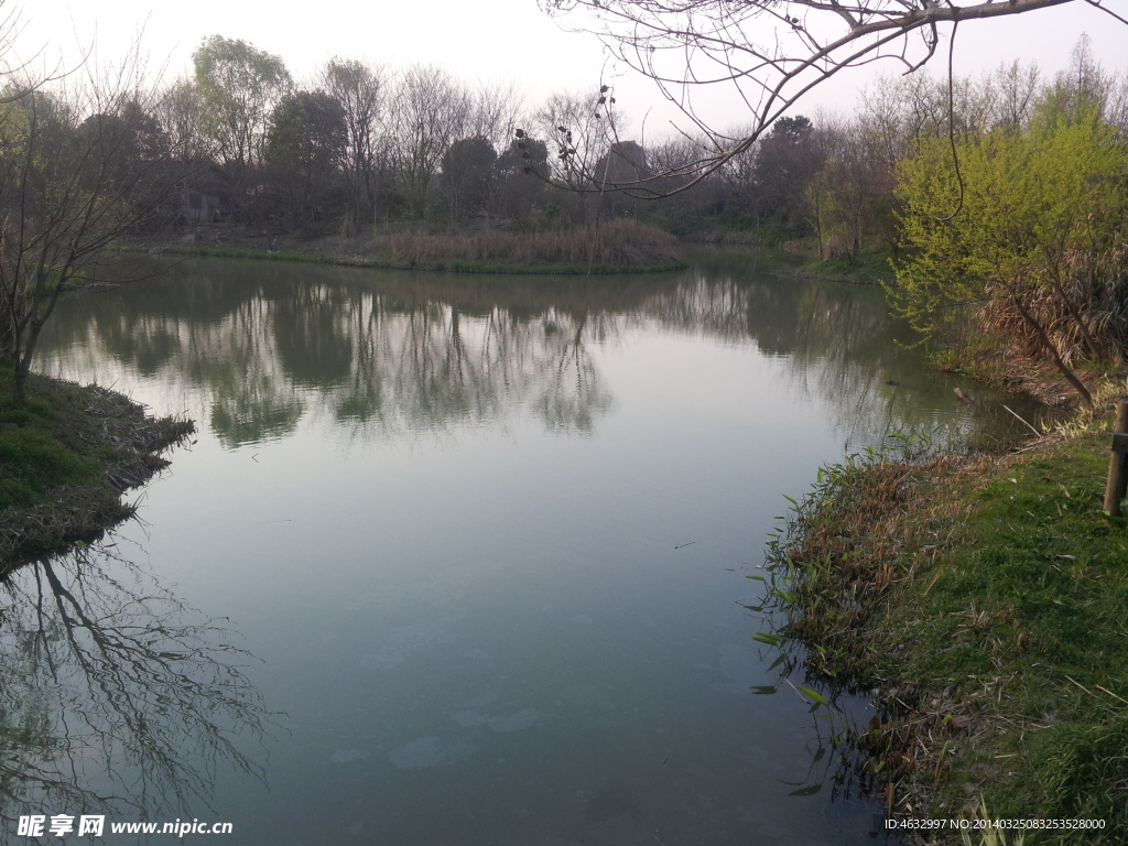 西溪湿地 湖泊 河流