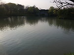 西溪湿地 湖泊 河流