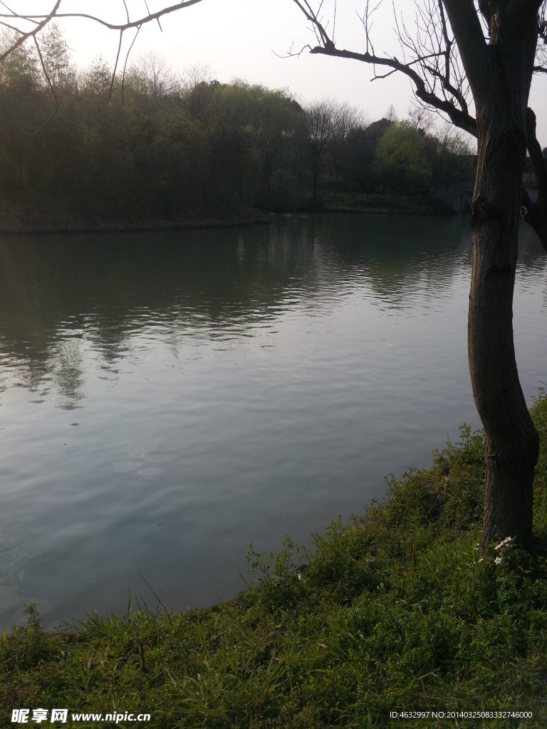西溪湿地 湖泊 河流