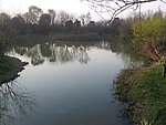 西溪湿地 湖泊 河流