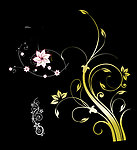 金色 花纹