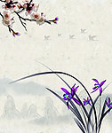 中国风海报 兰花