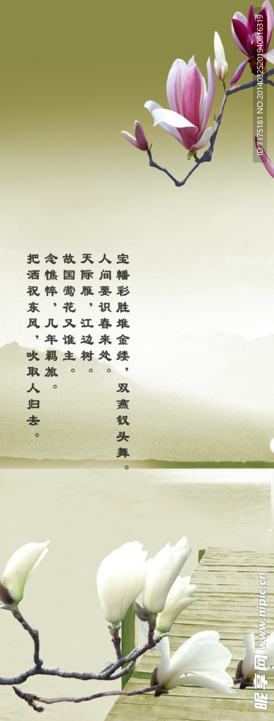平开门 玉兰