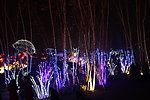 夜色
