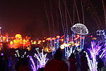 灯会