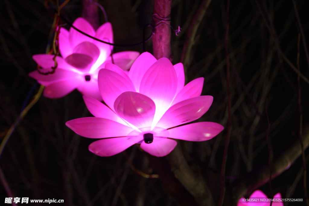 花灯