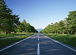 道路