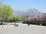 迎仙公园春景