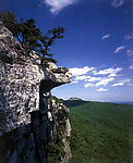 山川风景