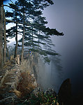 山川风景