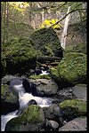 山川风景