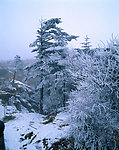山川风景