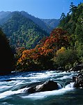 山水