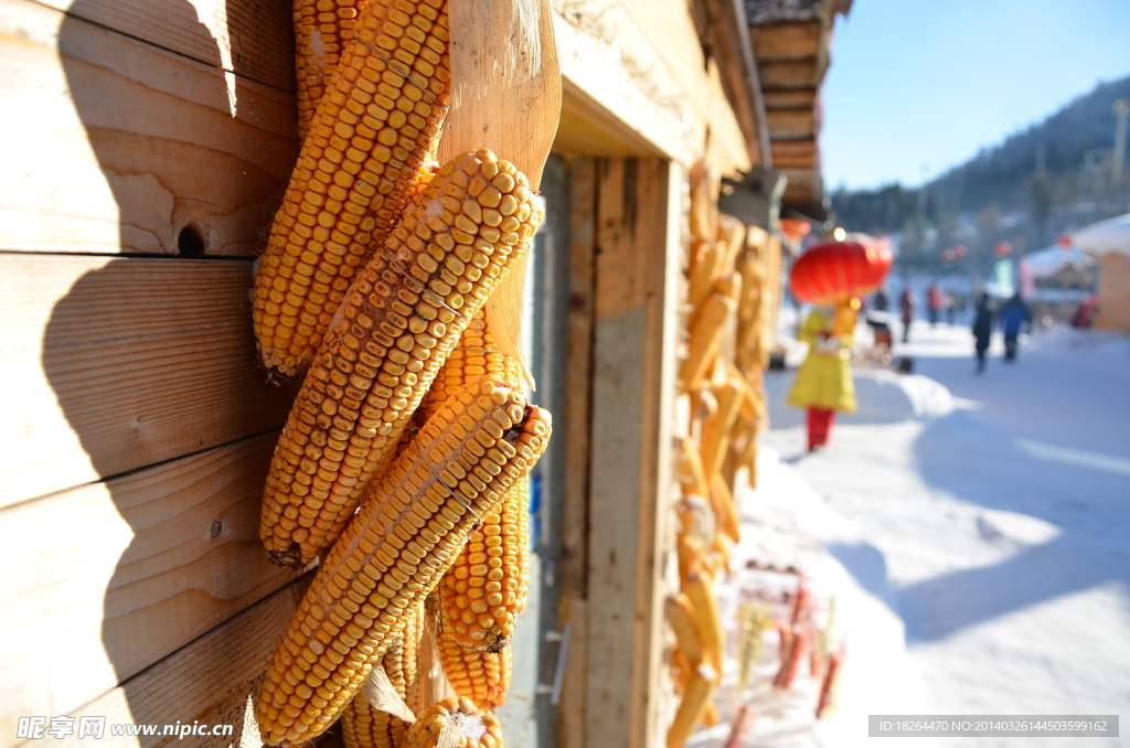 雪乡
