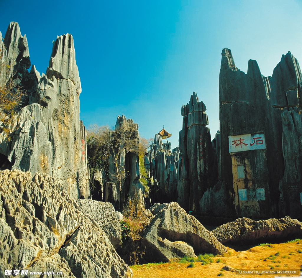 旅游随拍-----福建永安石林风景(上)-中关村在线摄影论坛