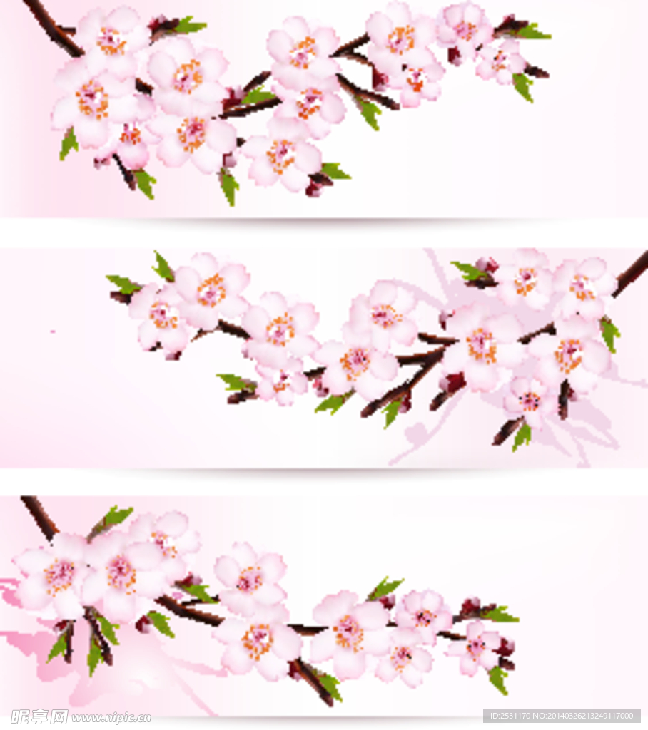 樱花