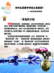 女性荷尔蒙