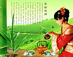 茶图片