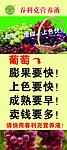 春克利营养液
