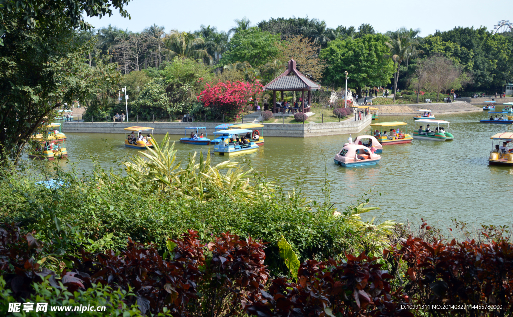 湖景 万绿湖