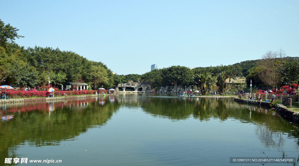 万绿湖 湖风景图