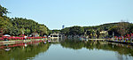万绿湖 湖风景