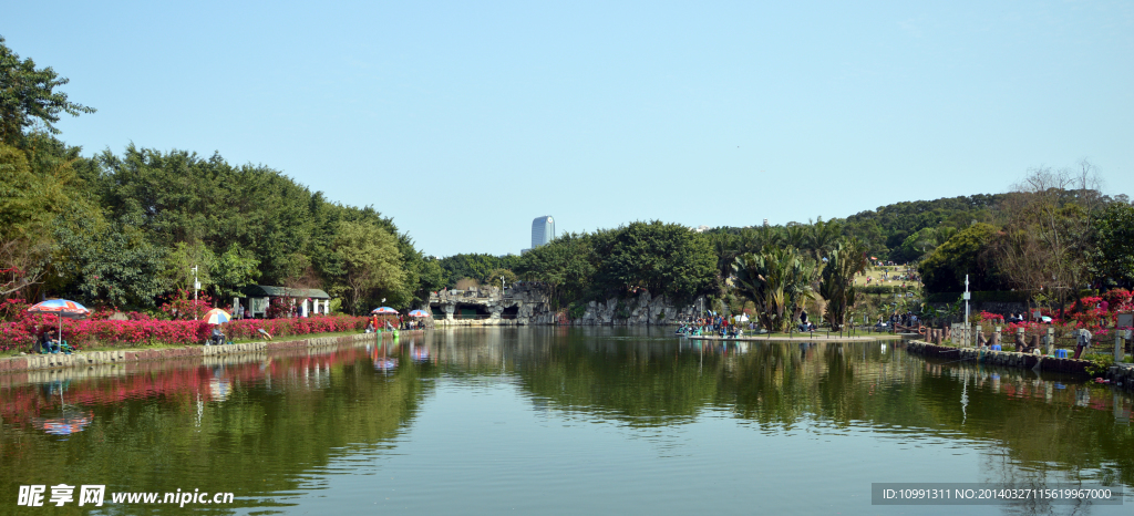 万绿湖 湖风景