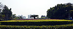 公园风景图