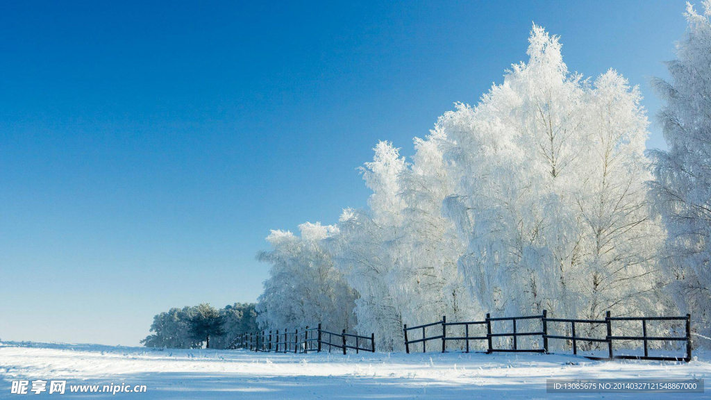 雪景