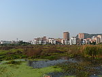 城中村景色