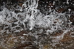 水珠水滴