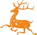 鹿 花鹿 Deer