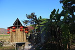 木屋