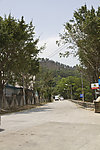 马路风景